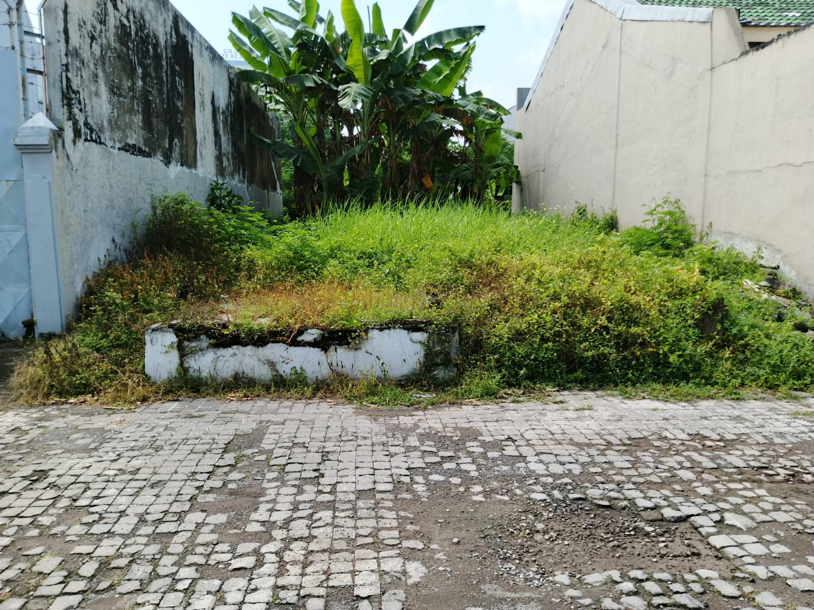 WhatsApp Image 2025-04-14 at 10.31.37