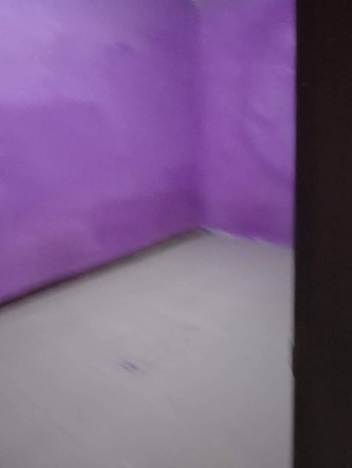 WhatsApp Image 2025-04-16 at 11.31.39