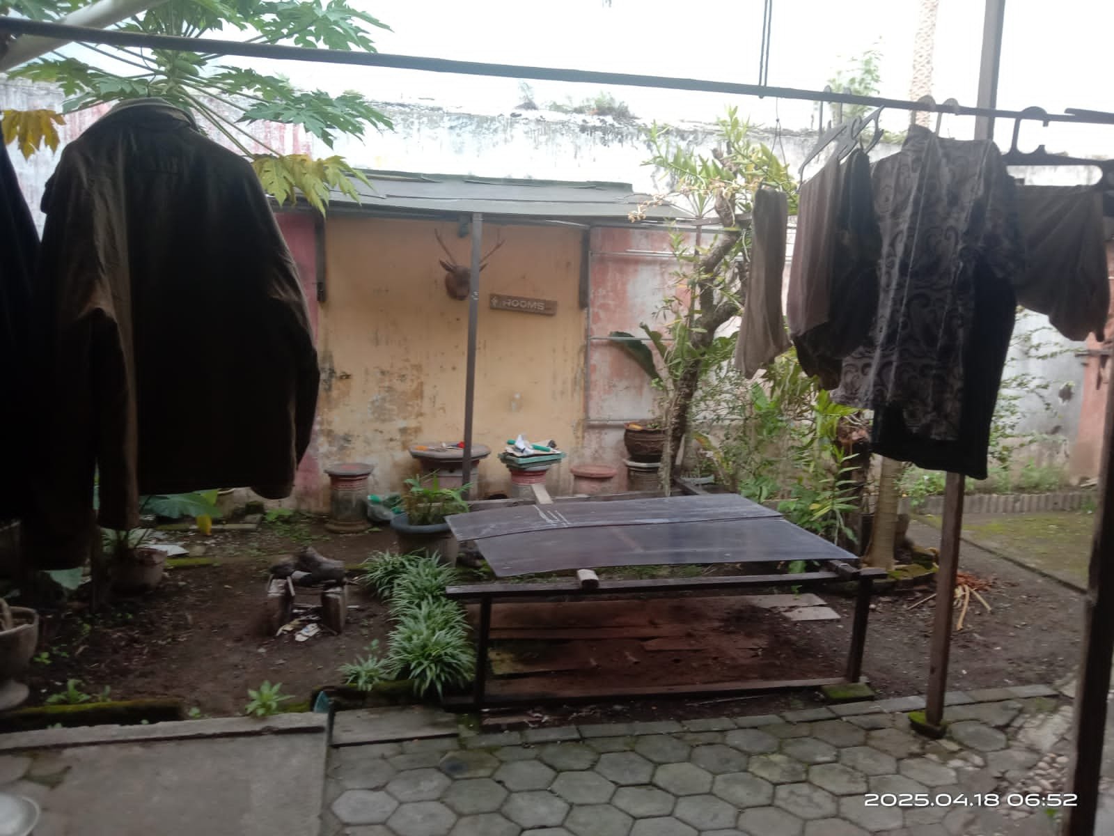 WhatsApp Image 2025-04-18 at 16.01.13 (1)