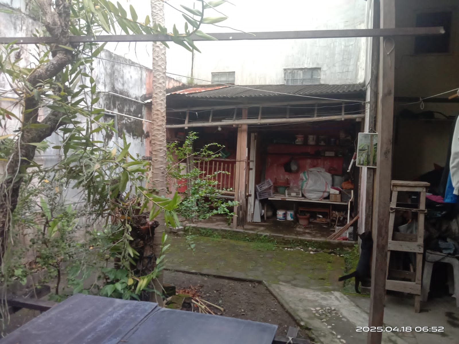 WhatsApp Image 2025-04-18 at 16.01.14