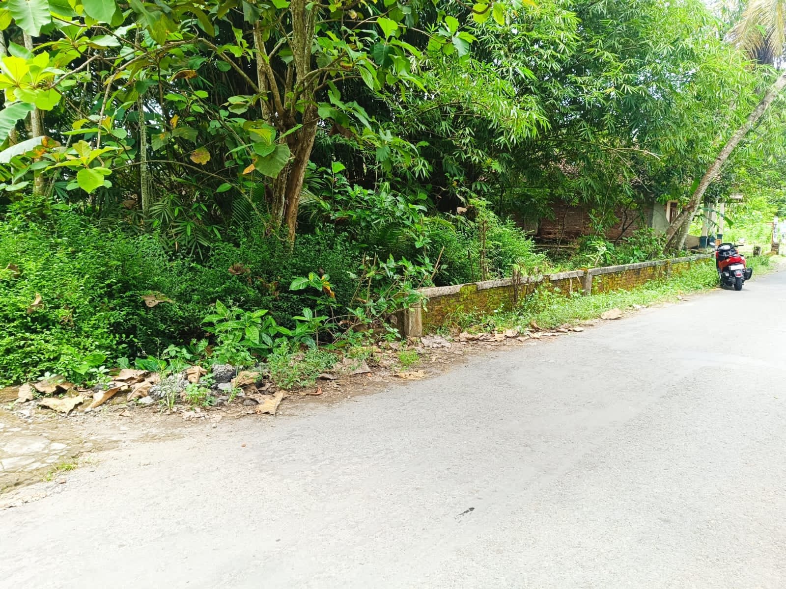 aa515dd2-4ffc-47d8-88ed-5d7e9a4aca67