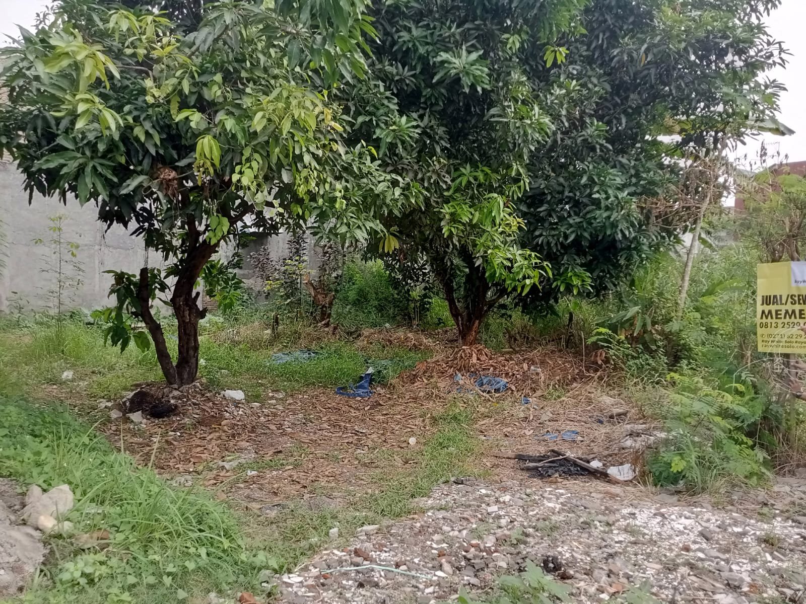 WhatsApp Image 2023-06-19 at 09.39.21