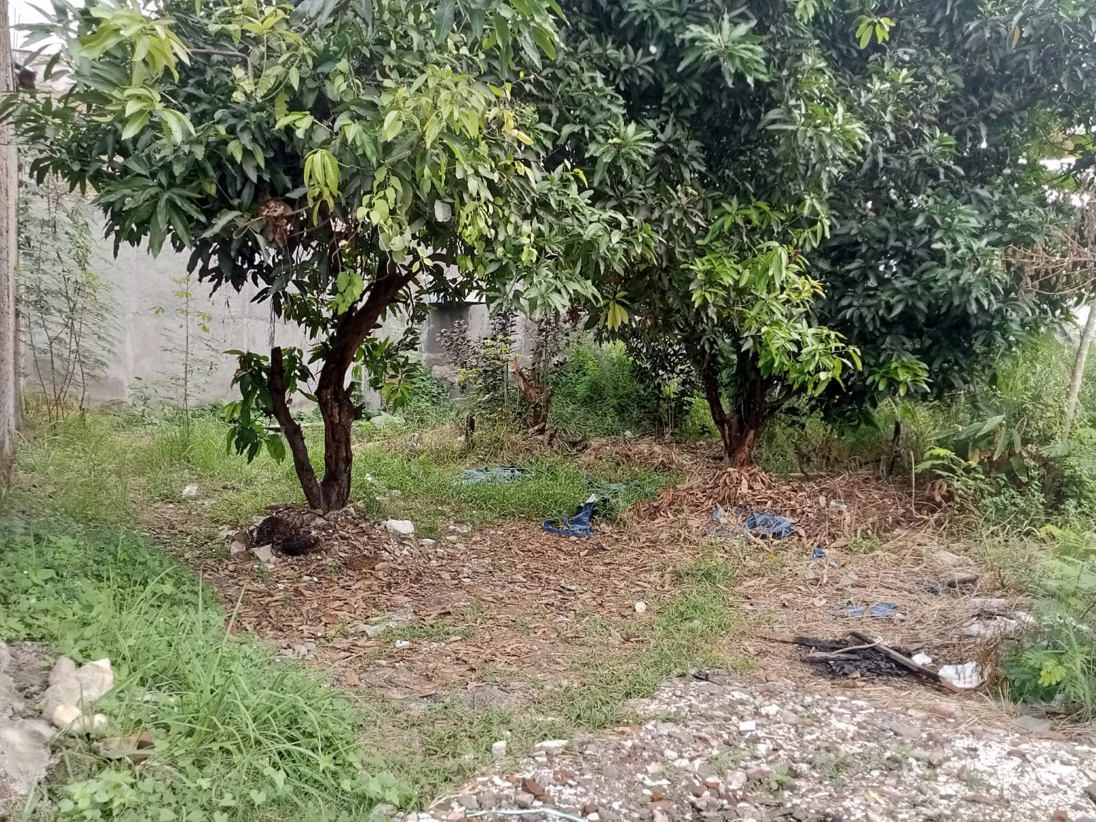 WhatsApp Image 2023-06-19 at 09.39.22