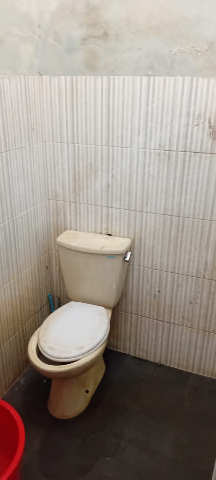 WhatsApp Image 2025-05-07 at 1.45.40 PM (1)