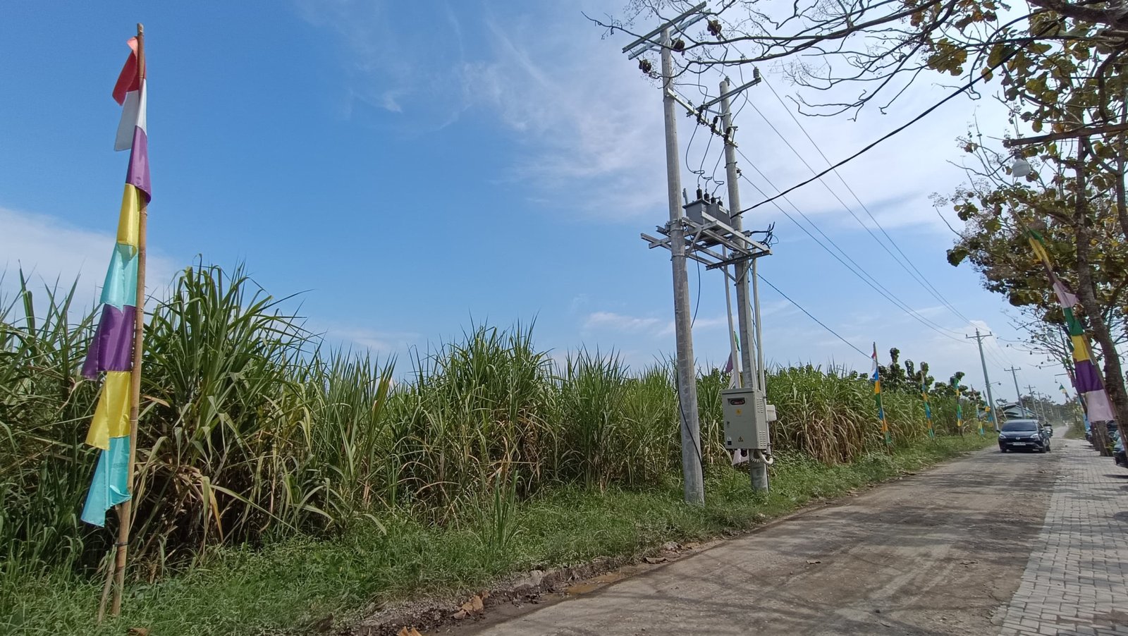 WhatsApp Image 2025-05-09 at 10.47.29 AM (2)