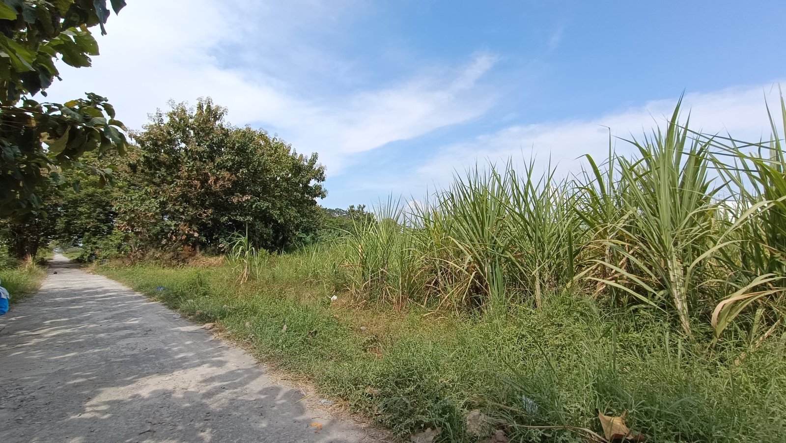 WhatsApp Image 2025-05-09 at 10.47.30 AM