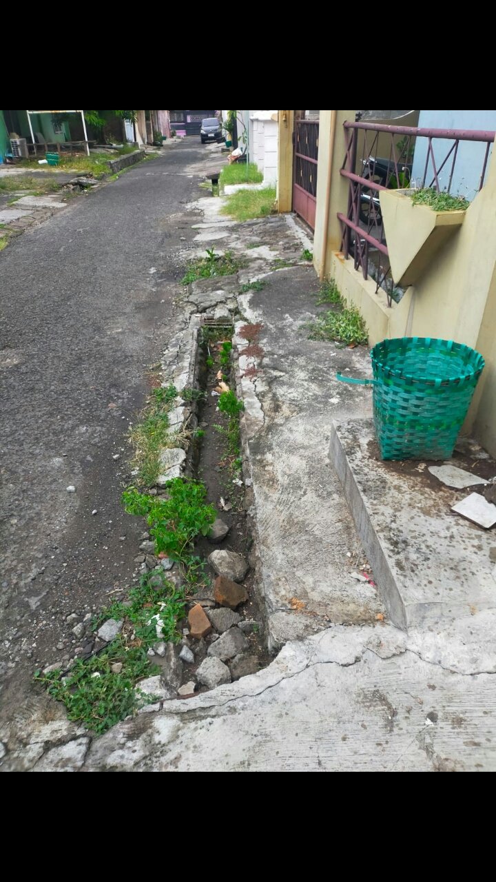 WhatsApp Image 2025-05-13 at 2.08.09 PM