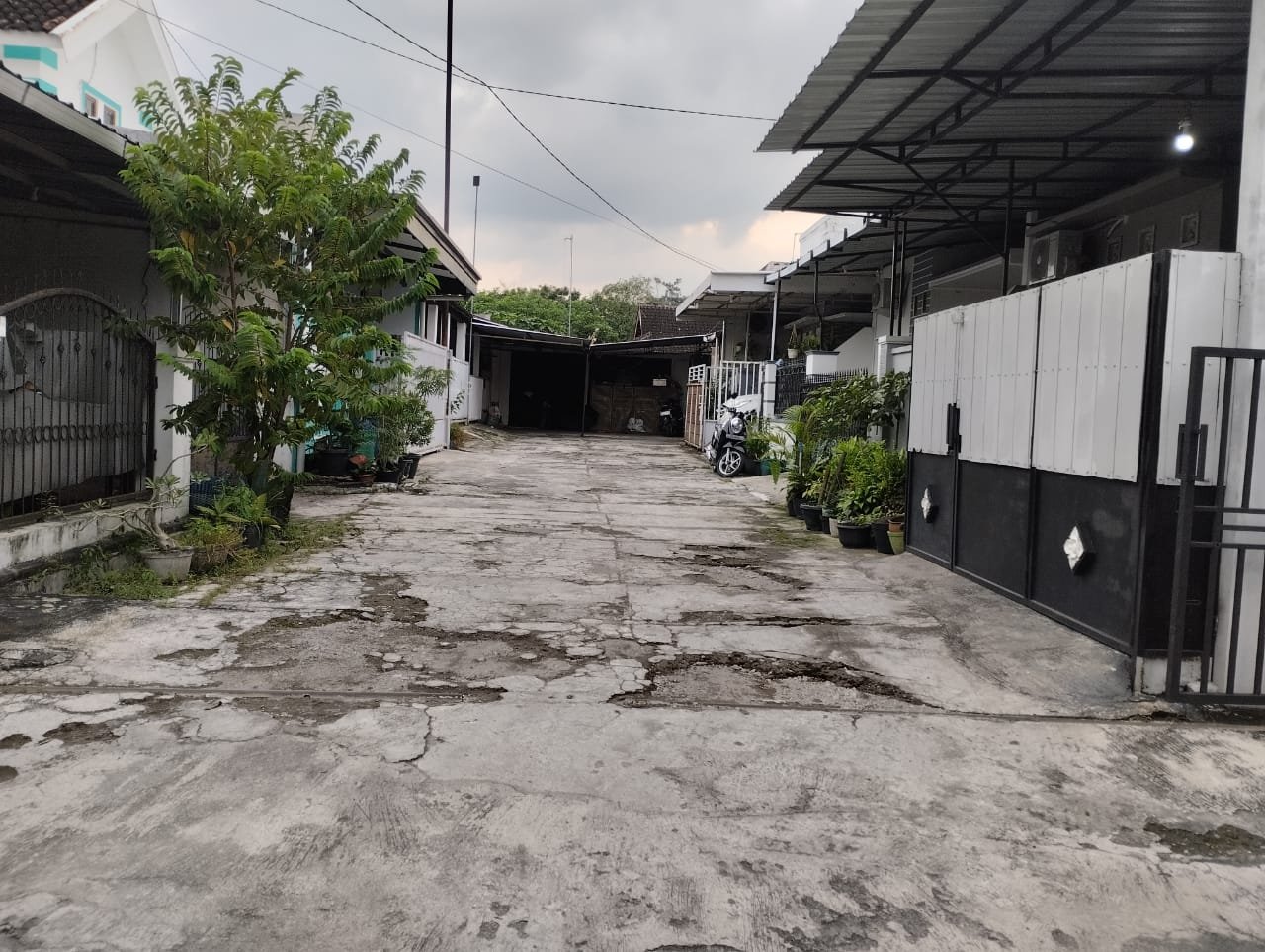 WhatsApp Image 2025-05-15 at 13.04.59 (1)