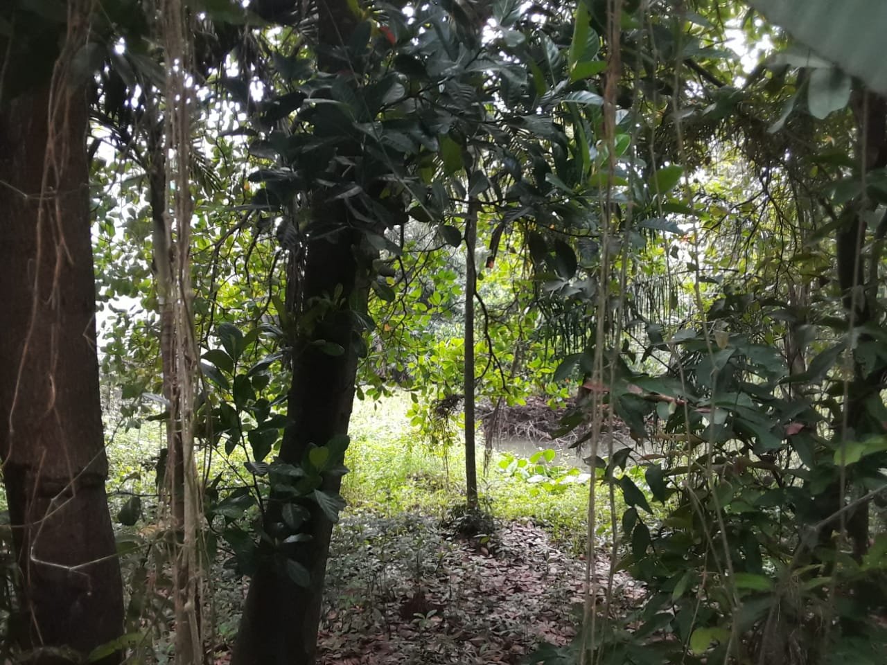 WhatsApp Image 2025-05-20 at 7.36.22 AM