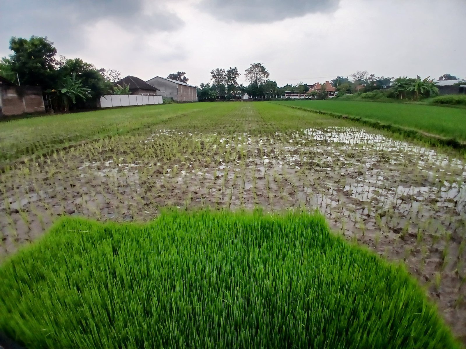 WhatsApp Image 2025-05-23 at 10.22.43 AM