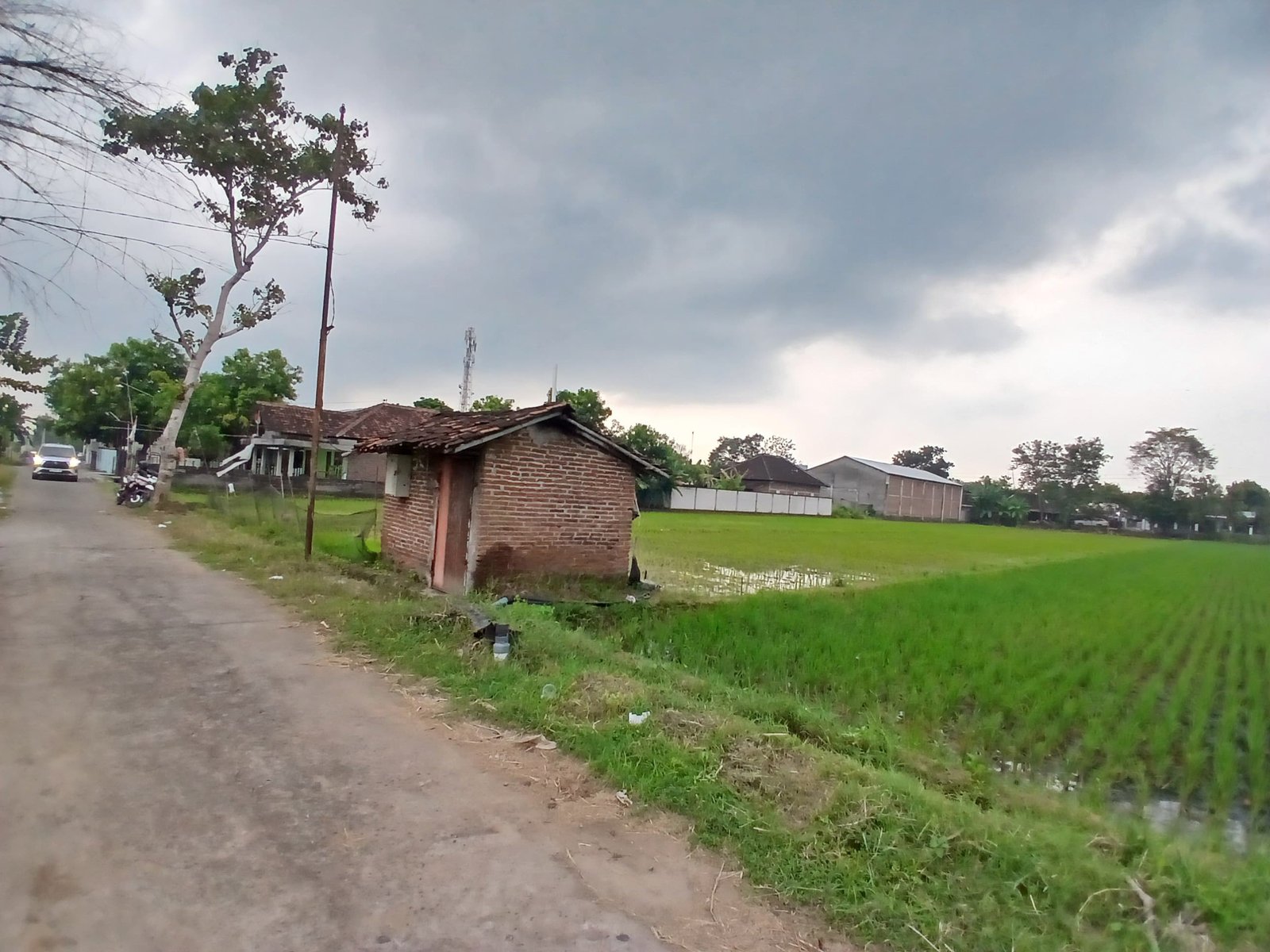 WhatsApp Image 2025-05-23 at 10.22.44 AM (1)