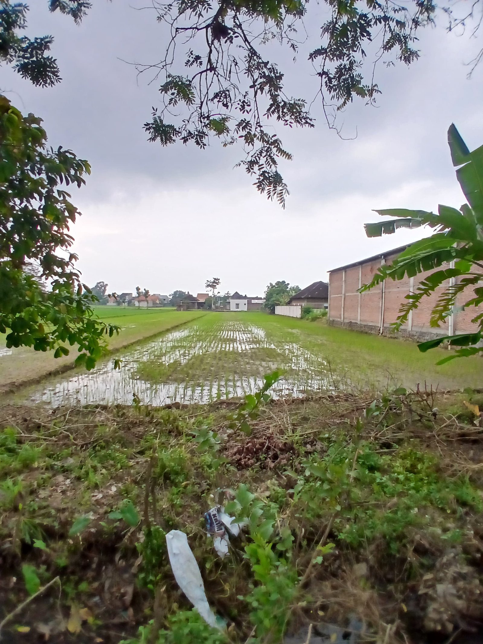 WhatsApp Image 2025-05-23 at 10.22.44 AM (2)