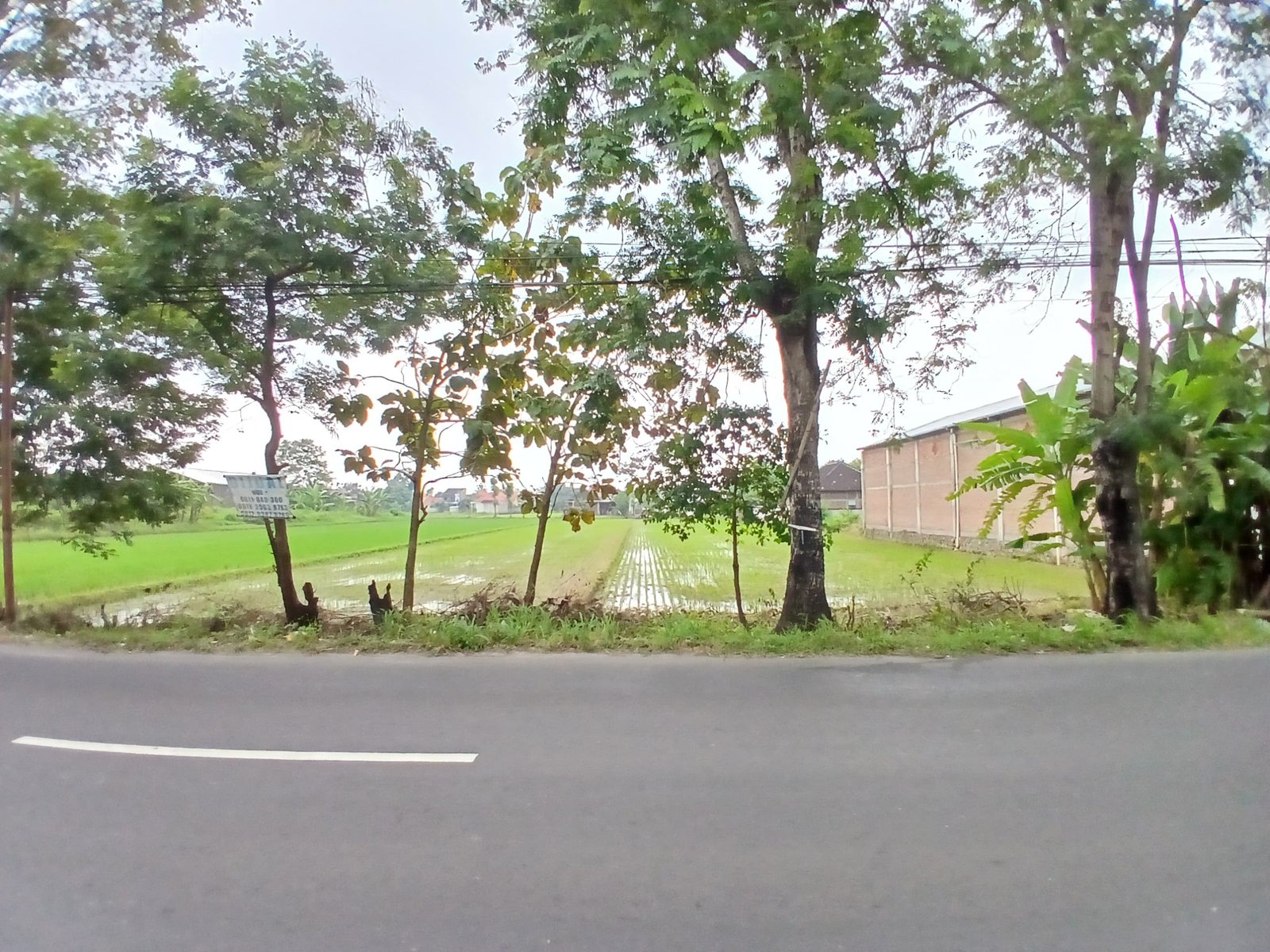 WhatsApp Image 2025-05-23 at 10.22.44 AM (3)