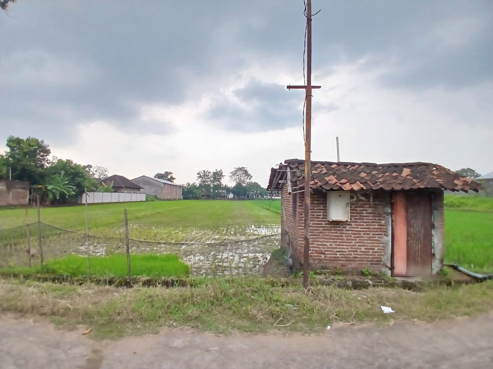 WhatsApp Image 2025-05-23 at 10.22.44 AM