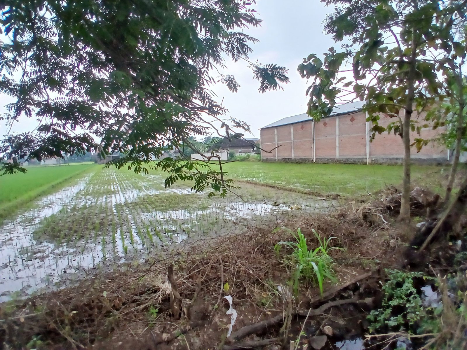 WhatsApp Image 2025-05-23 at 10.22.45 AM (3)