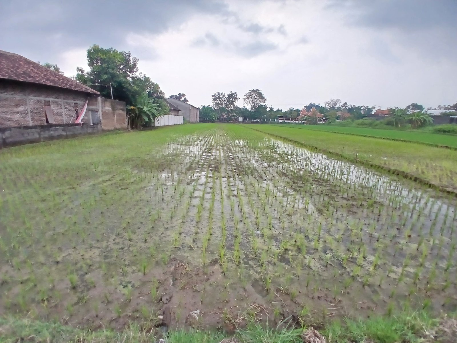 WhatsApp Image 2025-05-23 at 10.22.45 AM