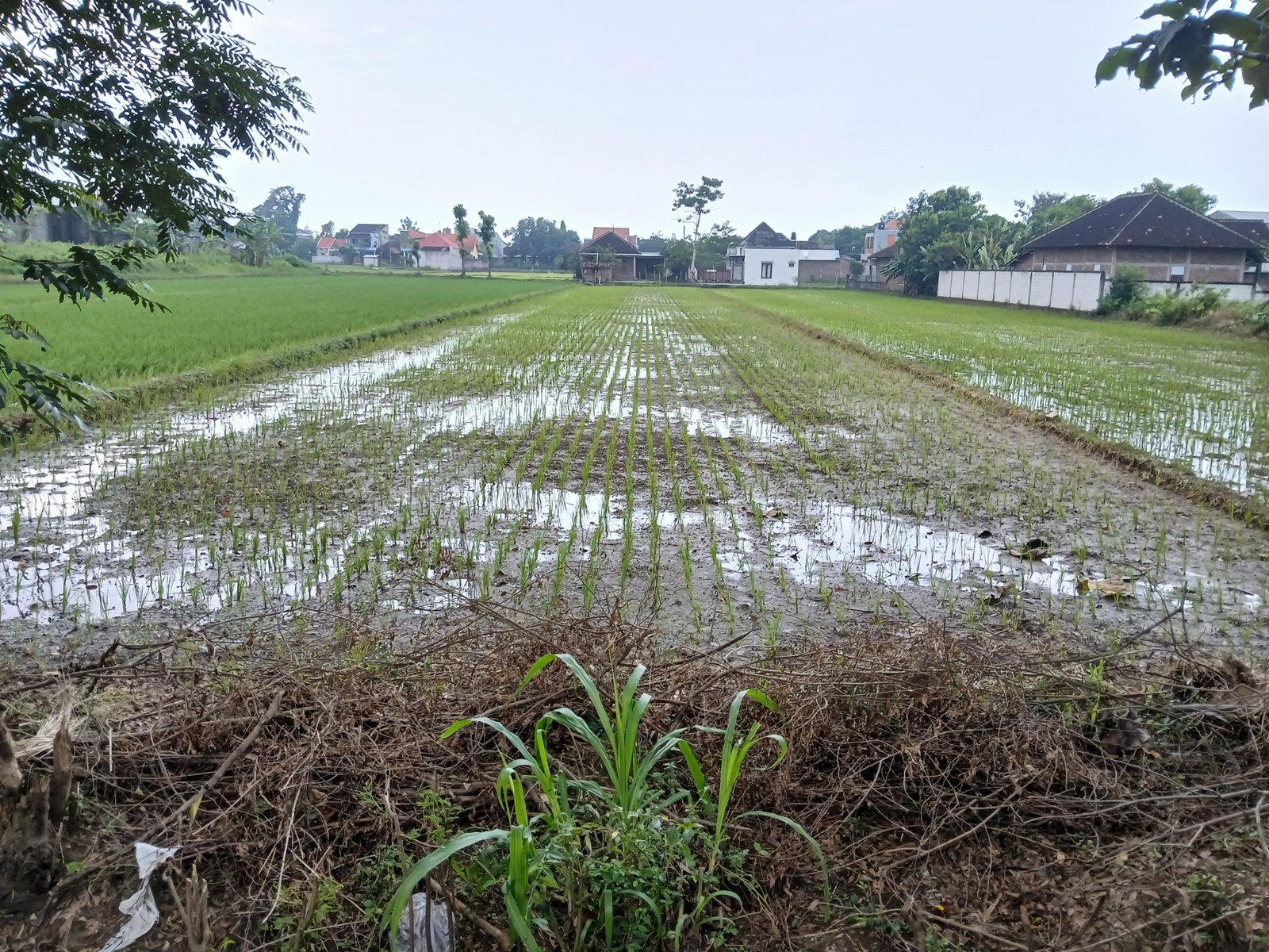 WhatsApp Image 2025-05-23 at 10.22.46 AM