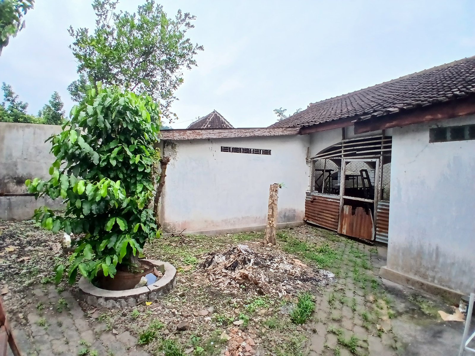 WhatsApp Image 2025-05-23 at 10.24.27 AM (3)