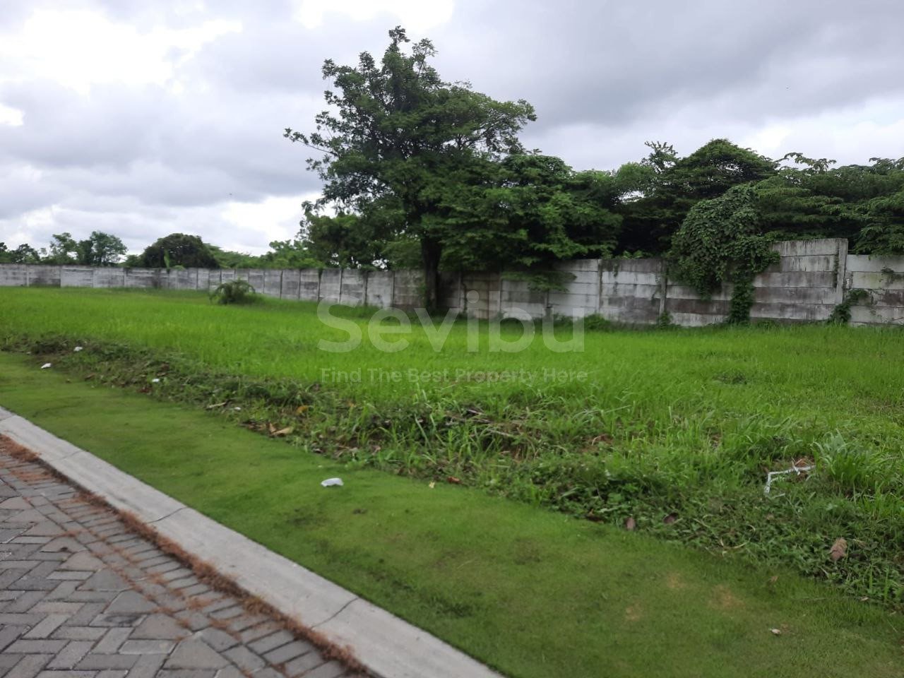 IMG_20250605_214423_221