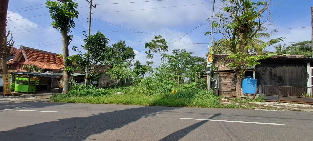 WhatsApp Image 2025-05-28 at 14.42.39