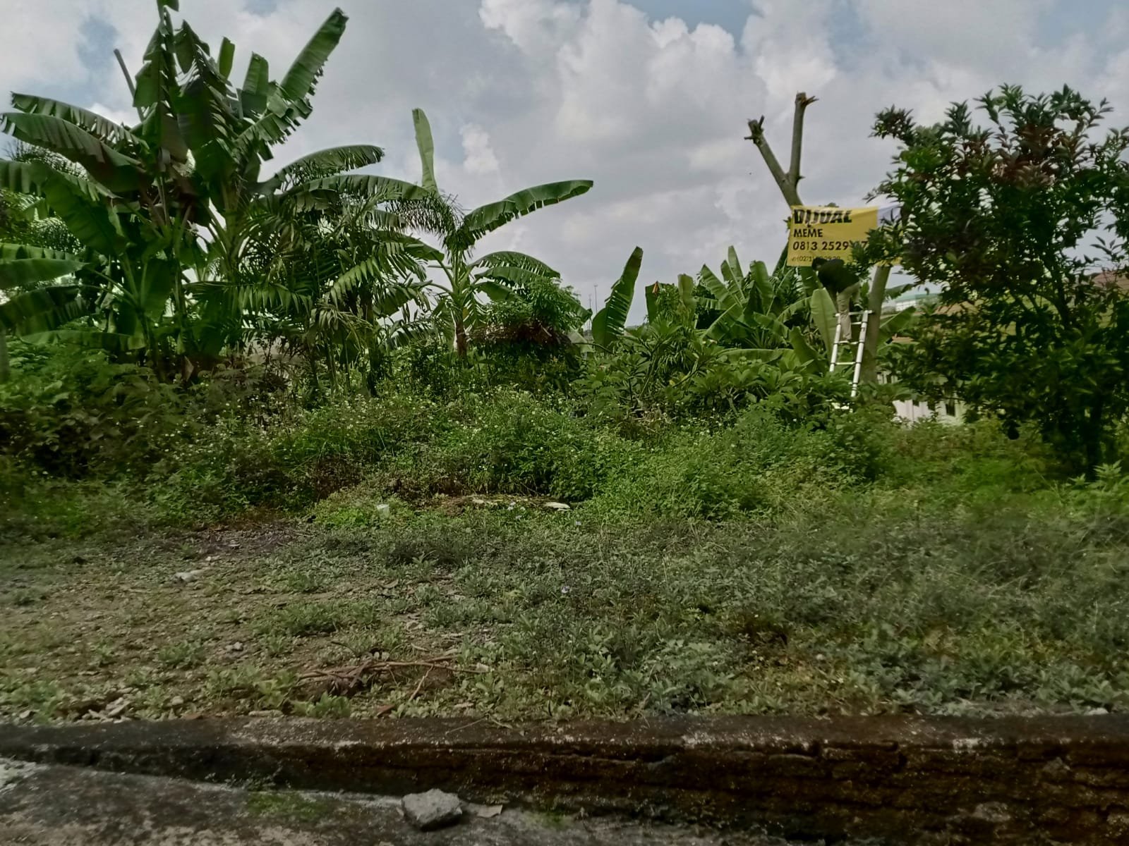 WhatsApp Image 2025-06-07 at 10.29.53