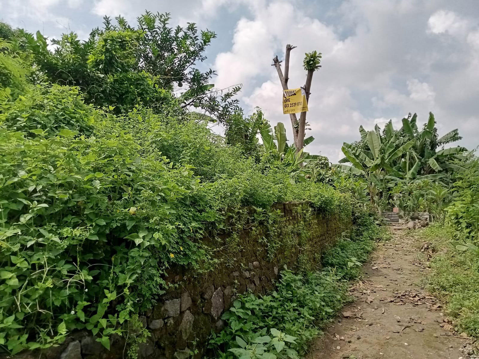 WhatsApp Image 2025-06-07 at 10.29.54