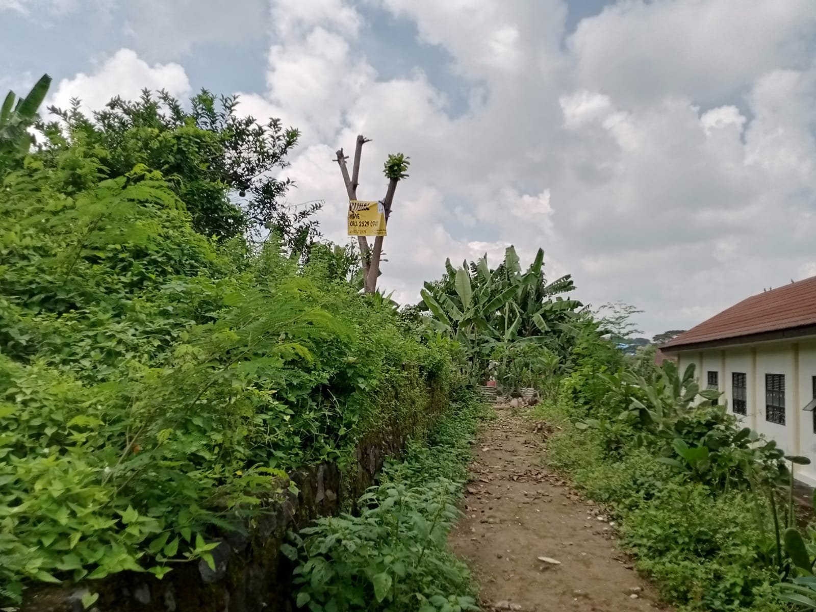 WhatsApp Image 2025-06-07 at 10.29.57 (1)