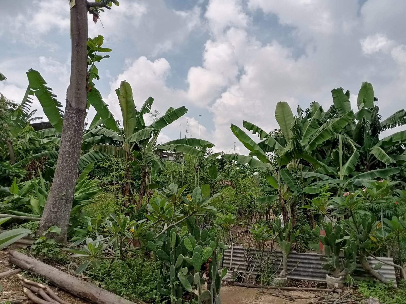 WhatsApp Image 2025-06-07 at 10.29.57