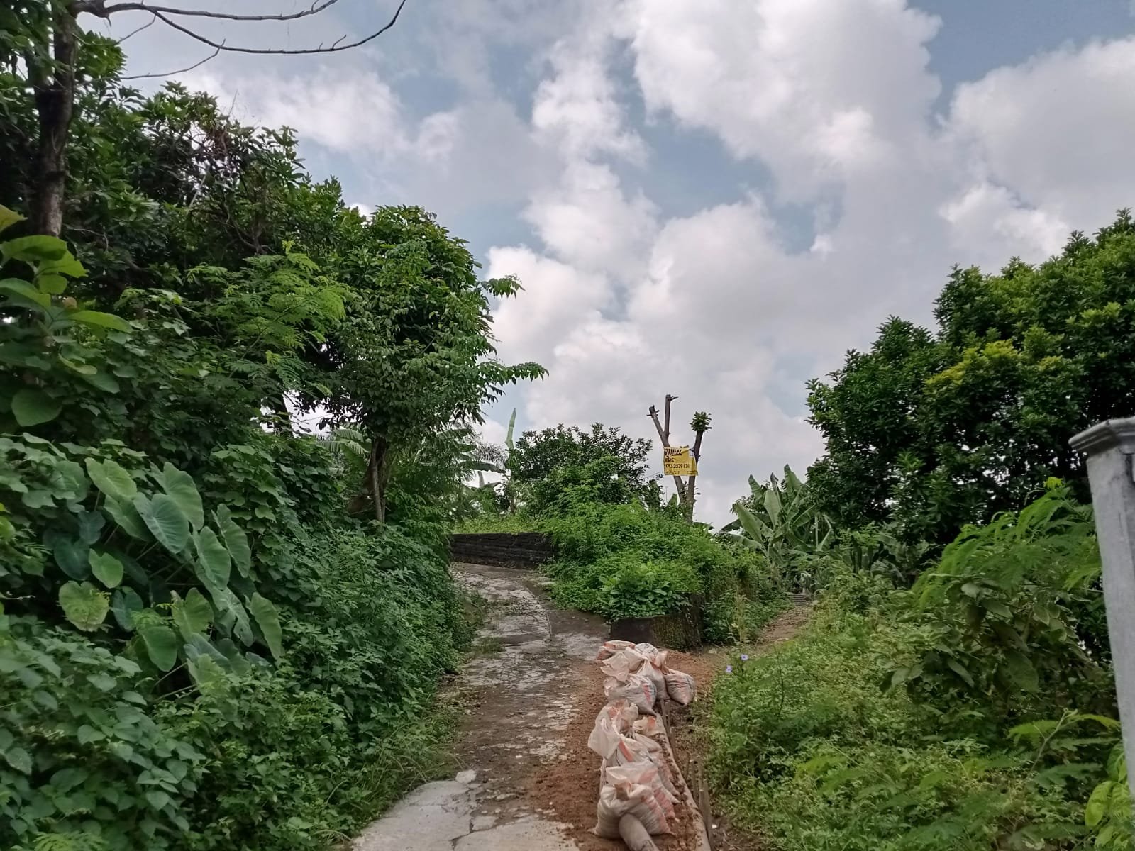 WhatsApp Image 2025-06-07 at 10.29.58