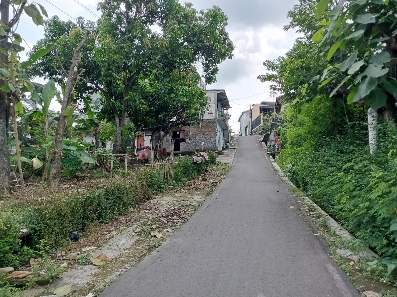 WhatsApp Image 2025-06-07 at 10.30.00