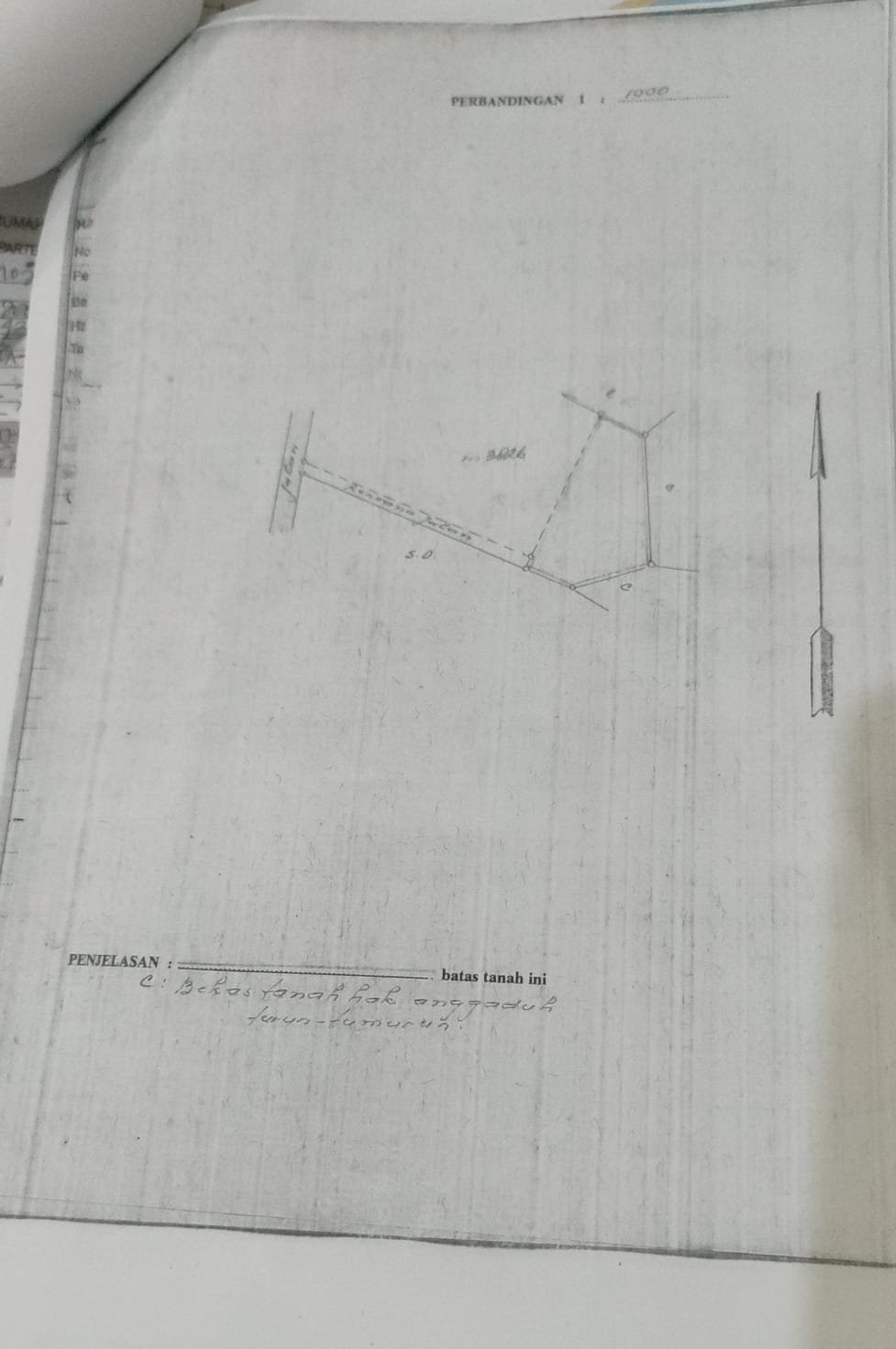 WhatsApp Image 2025-06-07 at 11.09.48 AM