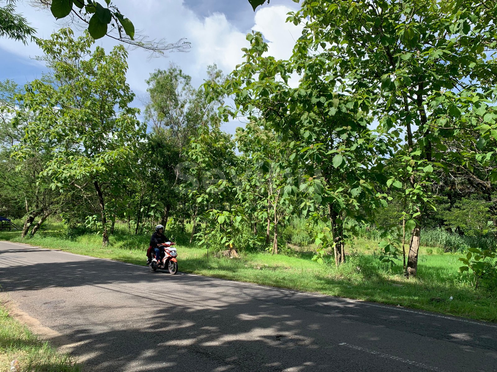 WhatsApp Image 2025-06-14 at 08.30.06 (1)