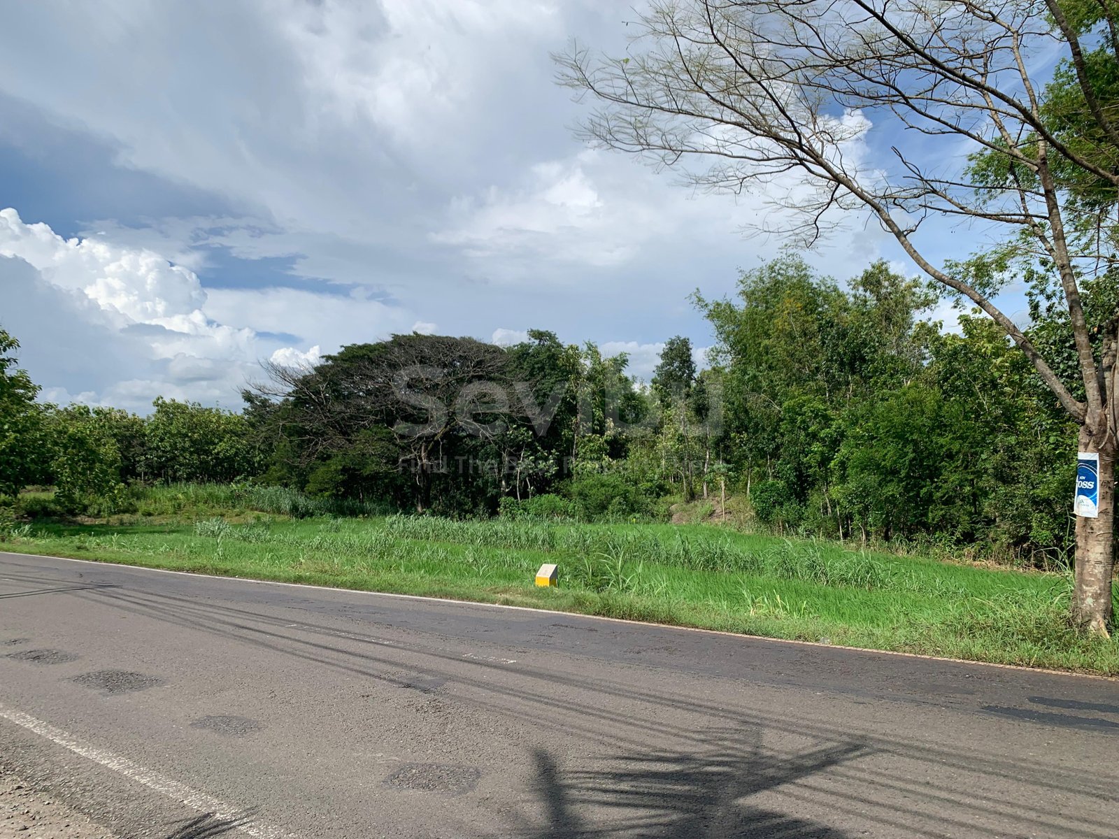 WhatsApp Image 2025-06-14 at 08.30.06 (2)