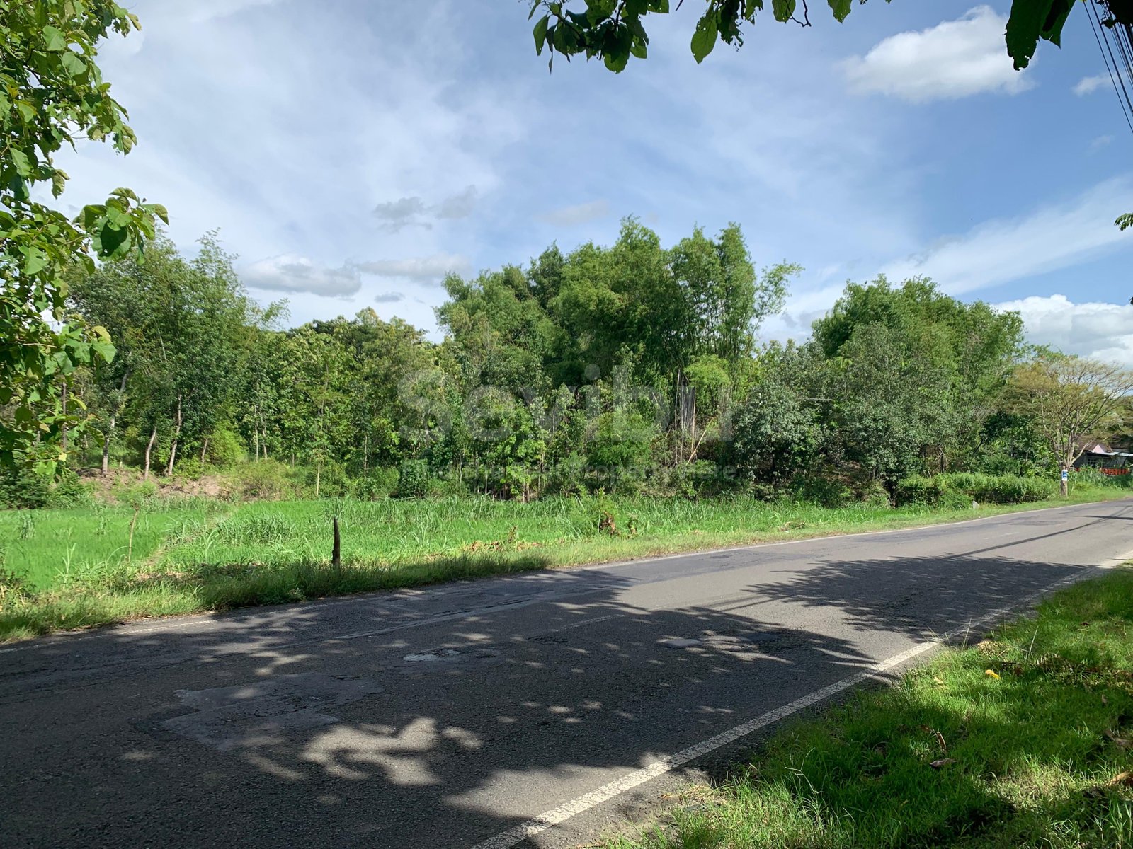 WhatsApp Image 2025-06-14 at 08.30.06