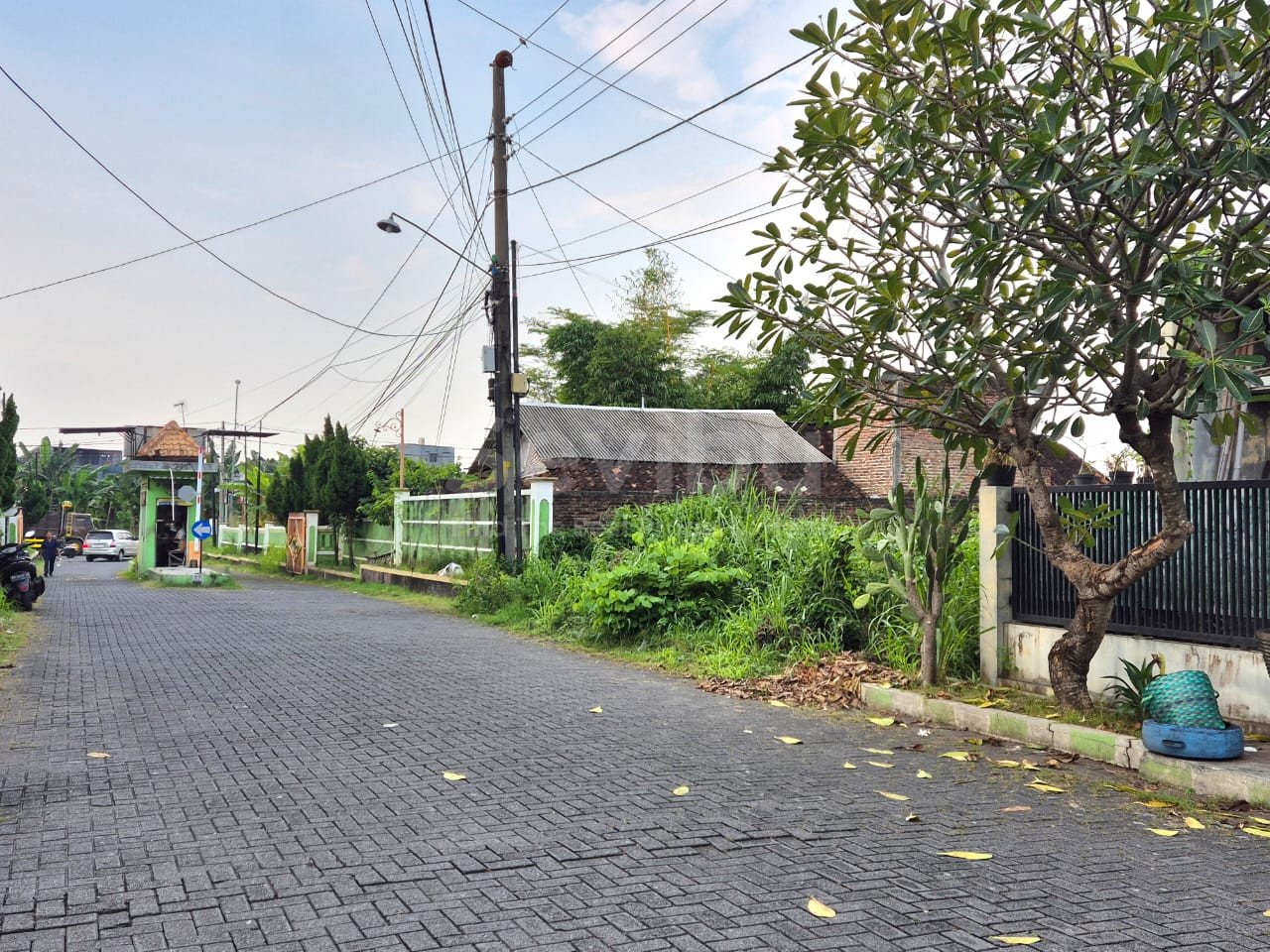 WhatsApp Image 2025-06-14 at 10.42.53