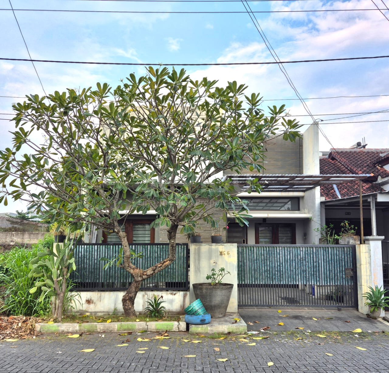 WhatsApp Image 2025-06-14 at 10.42.54