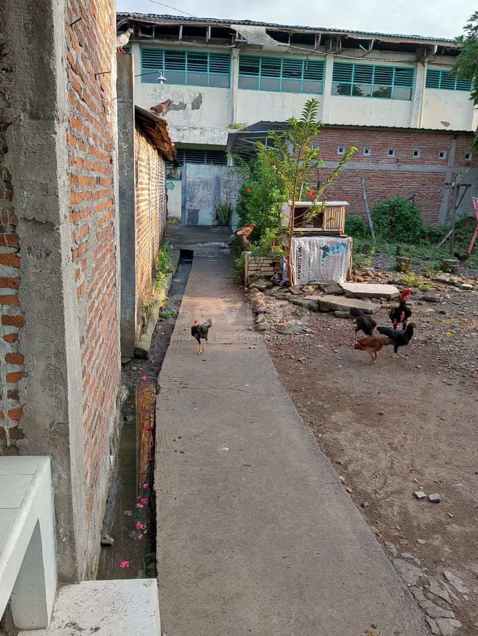 WhatsApp Image 2025-06-14 at 11.26.38 (2)