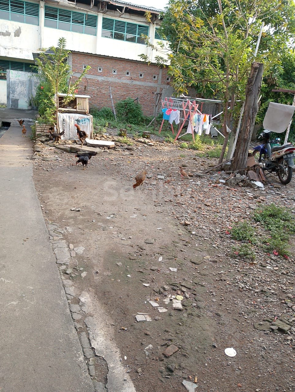 WhatsApp Image 2025-06-14 at 11.26.39 (1)