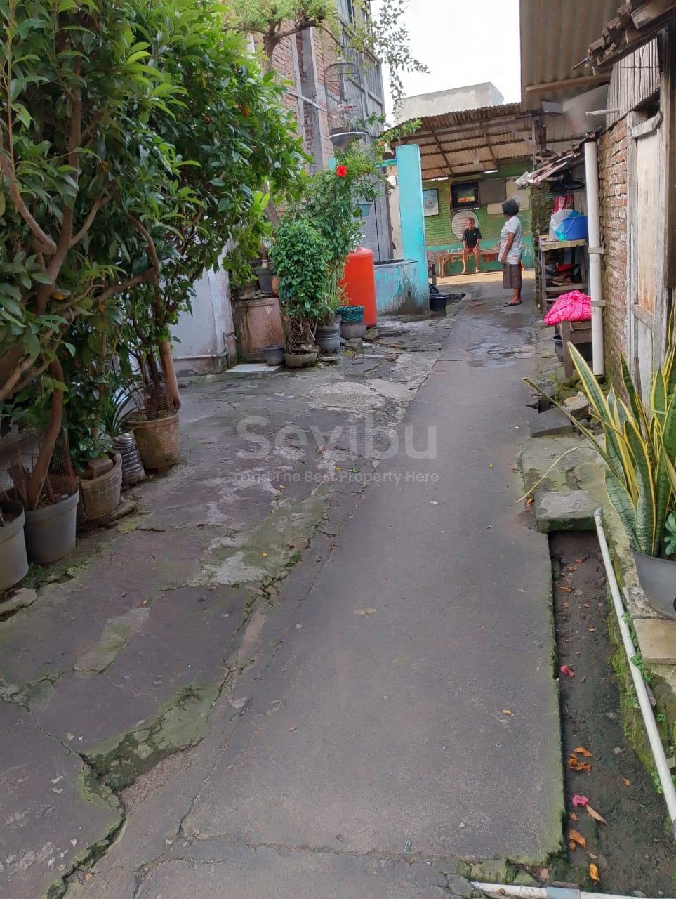 WhatsApp Image 2025-06-14 at 11.26.39