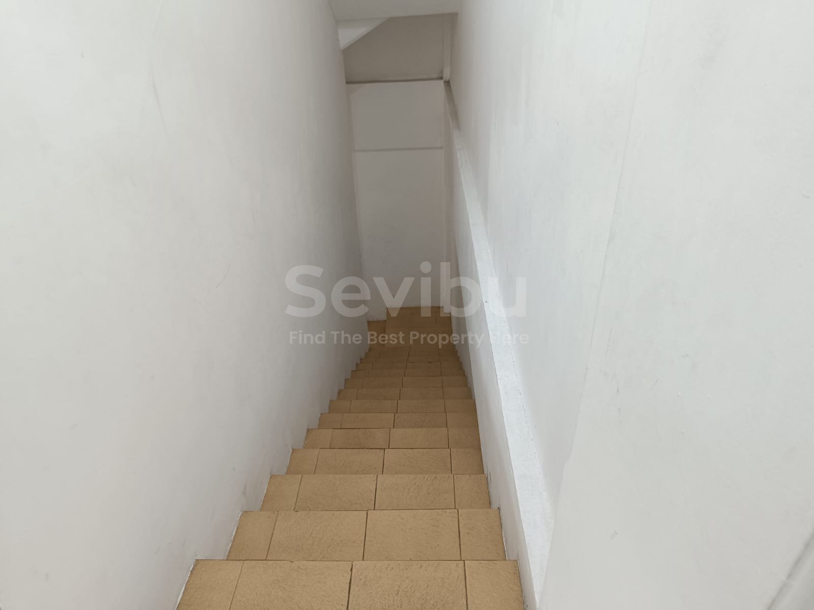 WhatsApp Image 2025-06-19 at 14.54.11 (1)