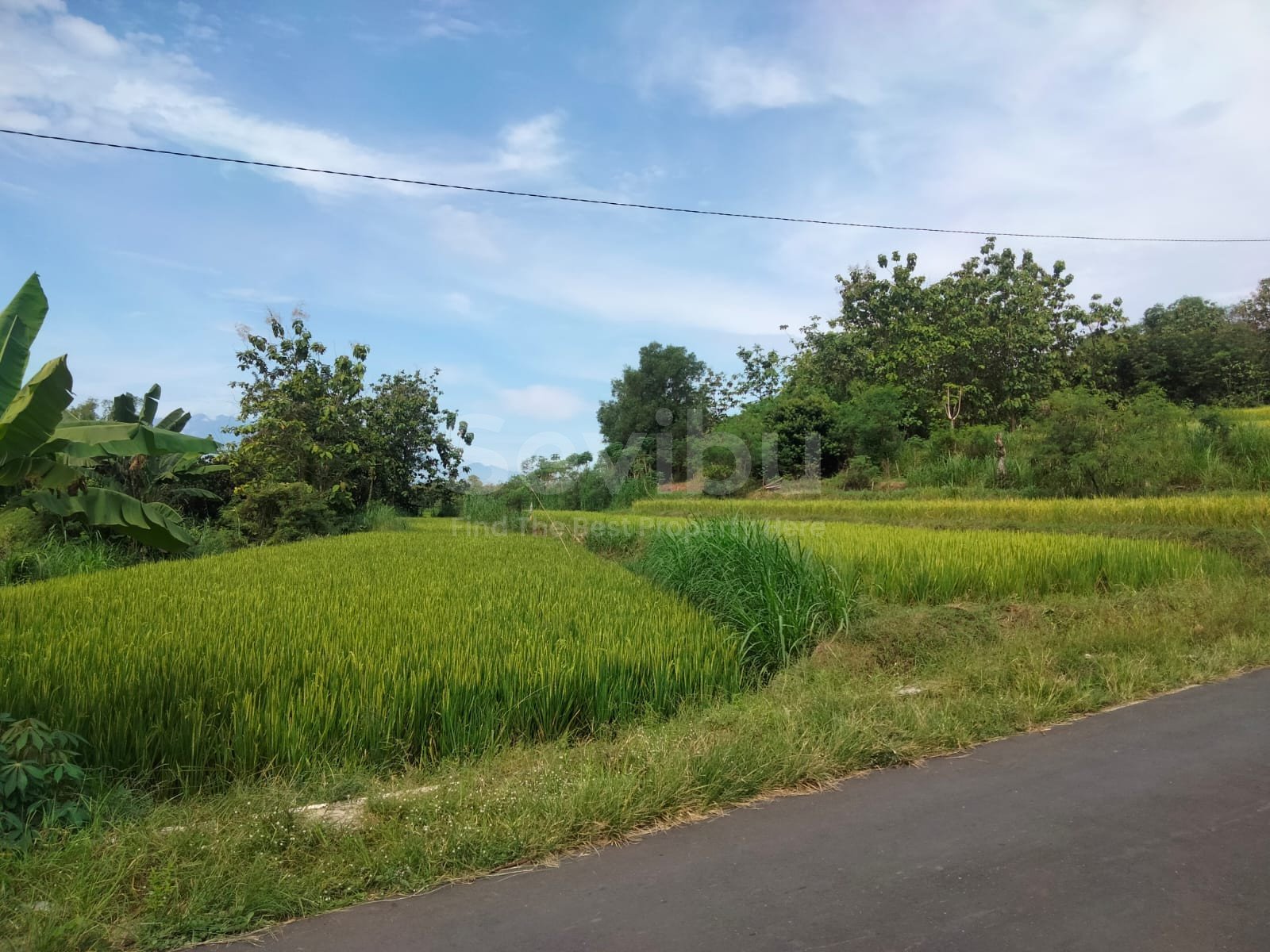 WhatsApp Image 2025-06-19 at 15.51.40 (1)