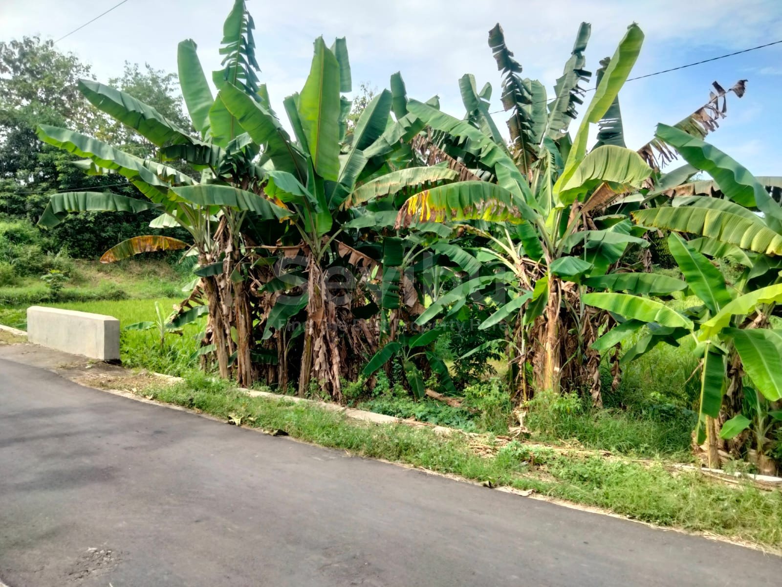 WhatsApp Image 2025-06-19 at 15.51.40 (2)