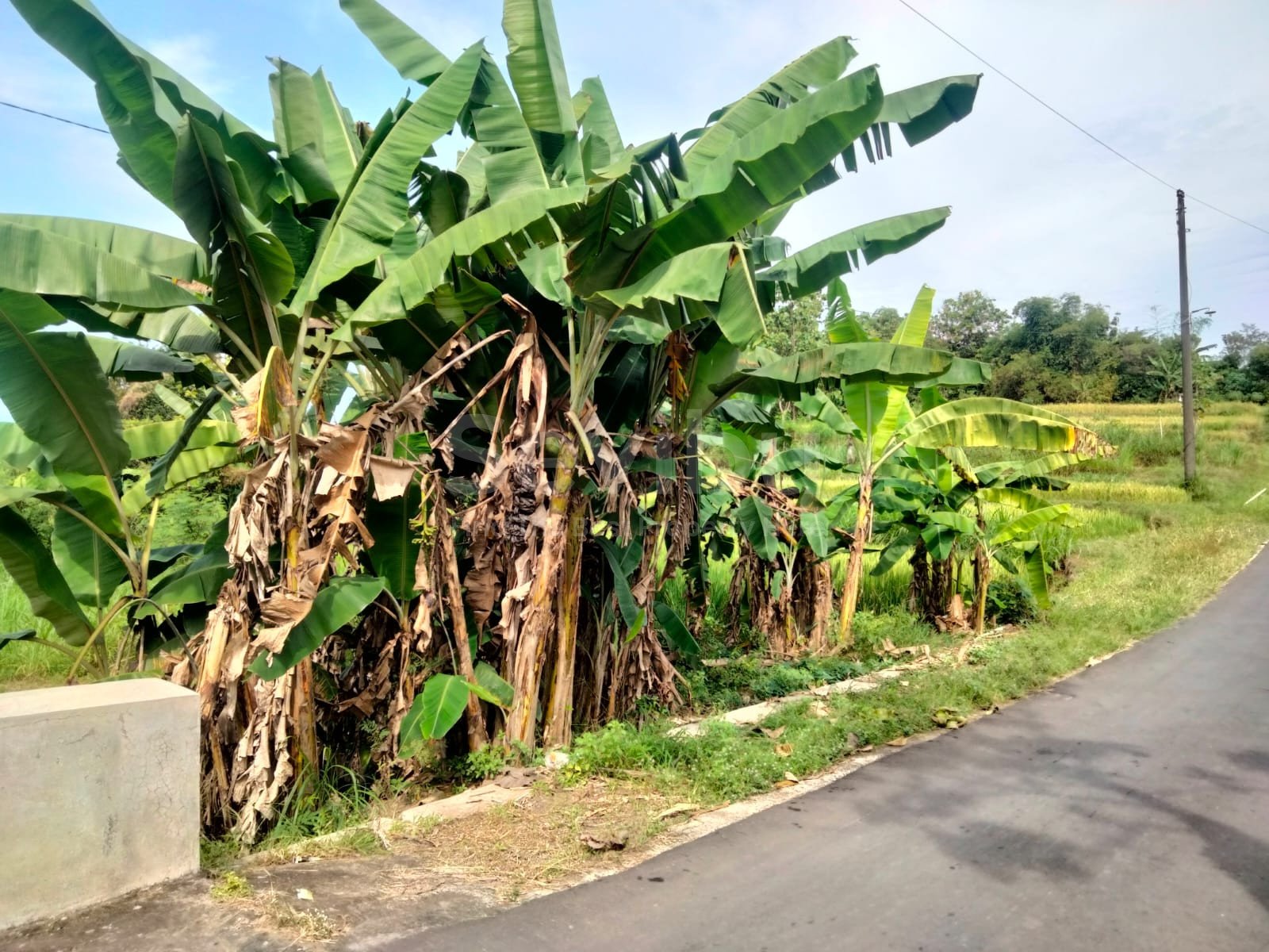 WhatsApp Image 2025-06-19 at 15.51.40