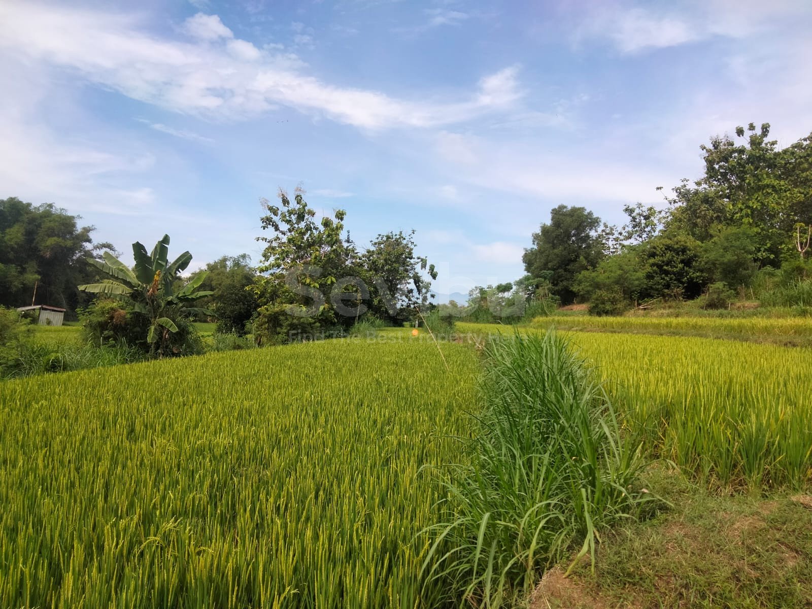 WhatsApp Image 2025-06-19 at 15.51.41