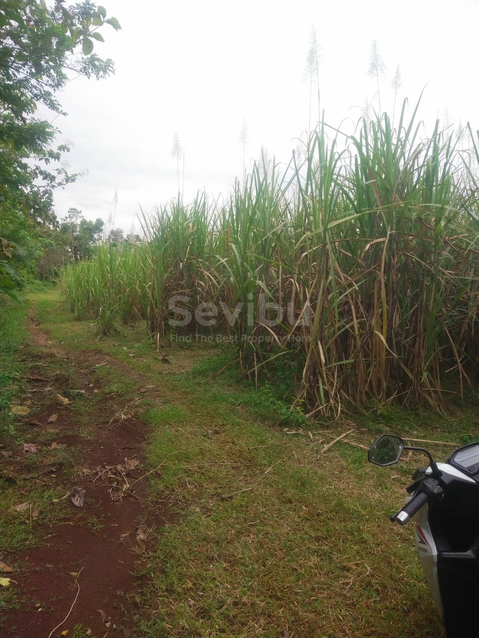 WhatsApp Image 2025-06-20 at 12.21.29