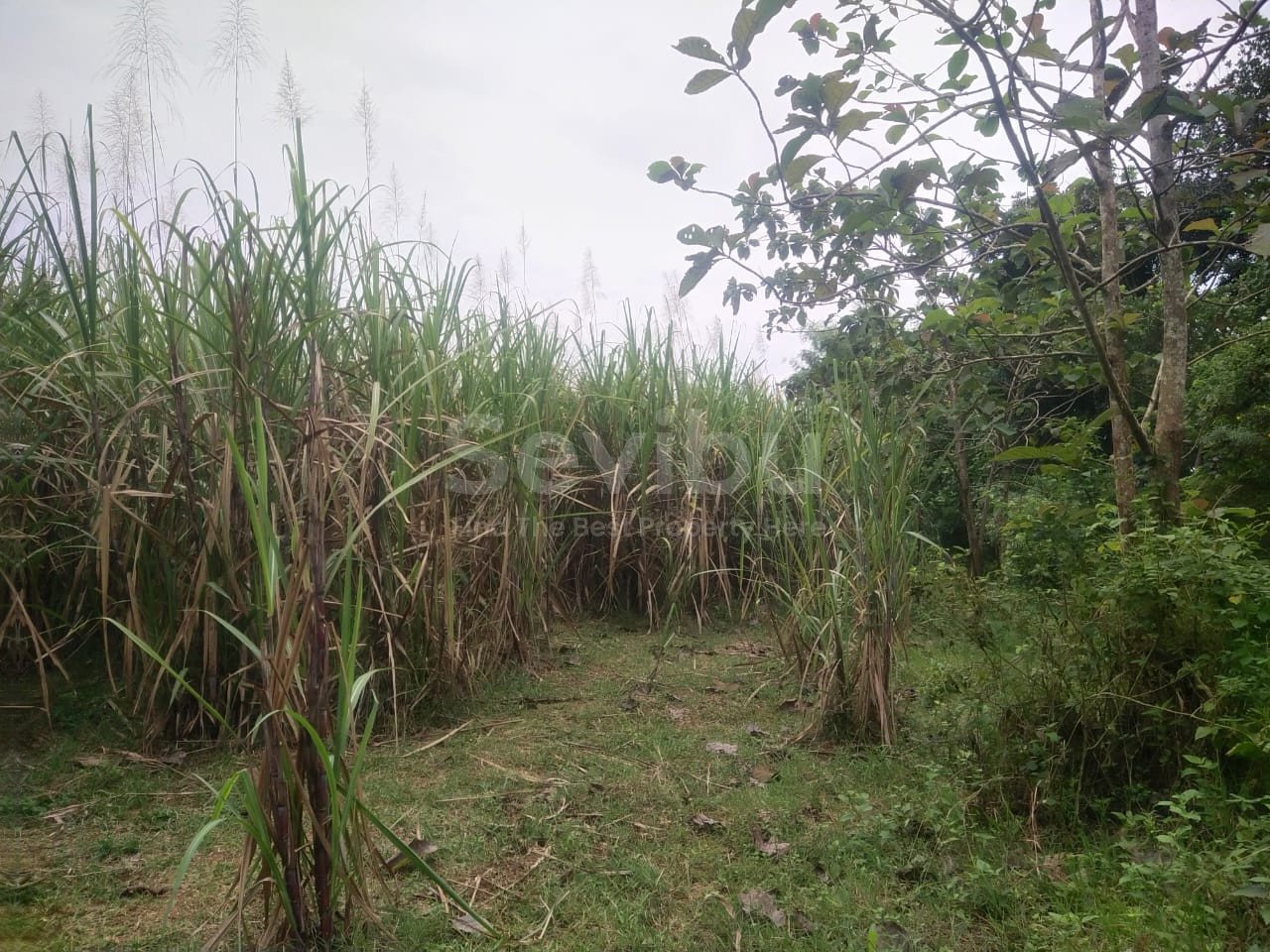 WhatsApp Image 2025-06-20 at 12.21.30 (1)