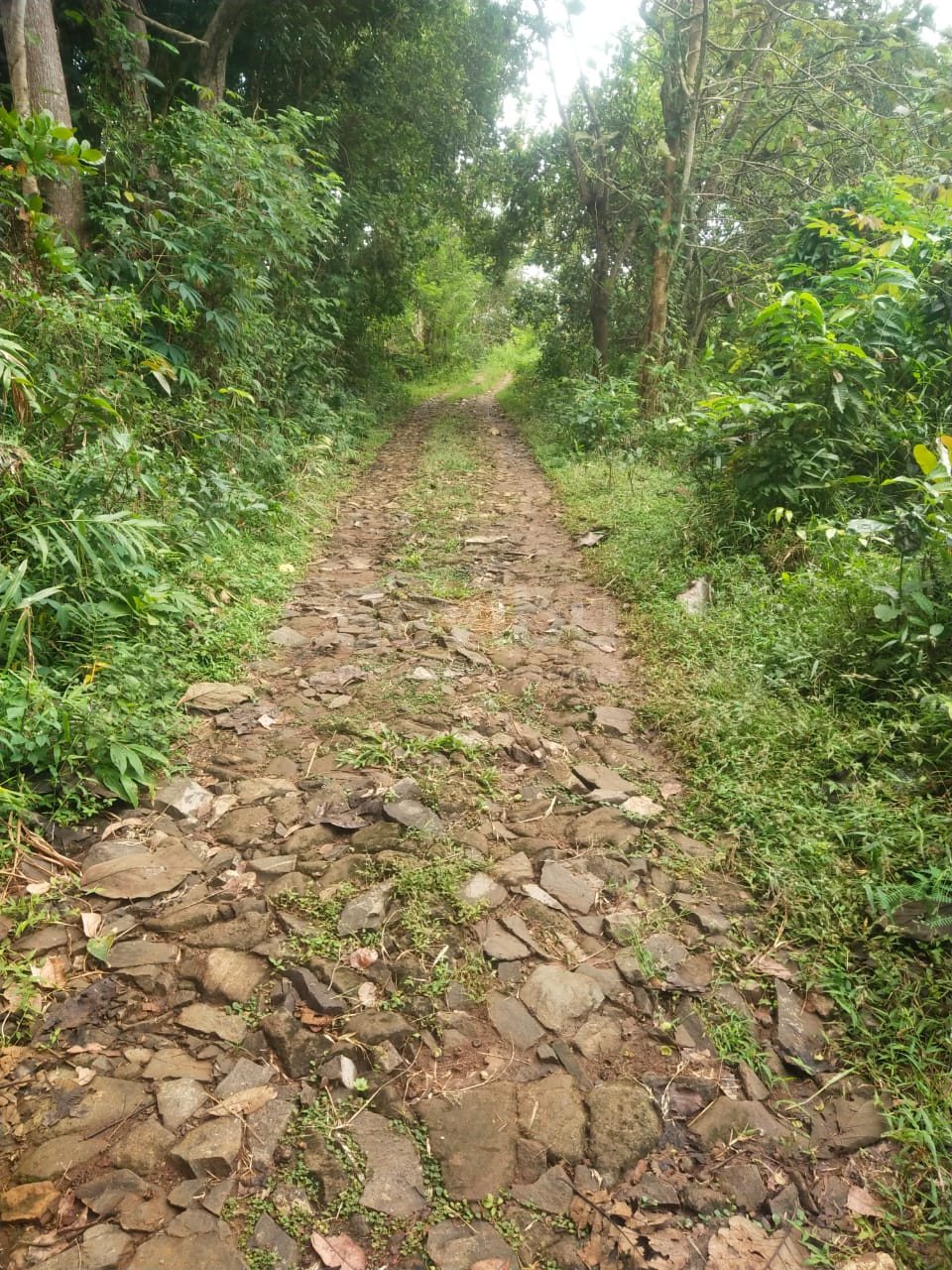 WhatsApp Image 2025-06-20 at 12.21.31 (1)