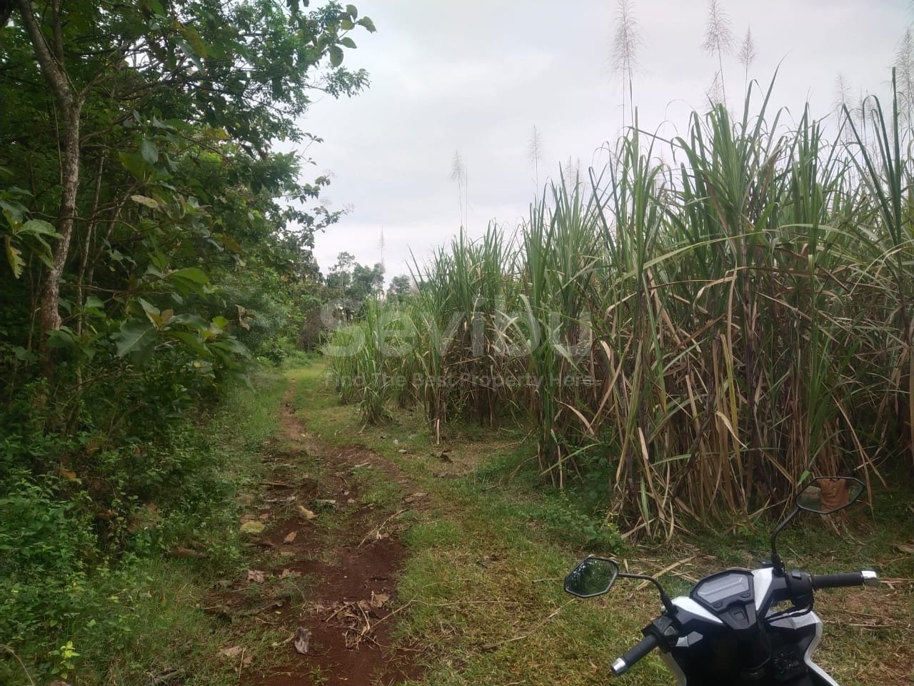 WhatsApp Image 2025-06-20 at 12.21.31