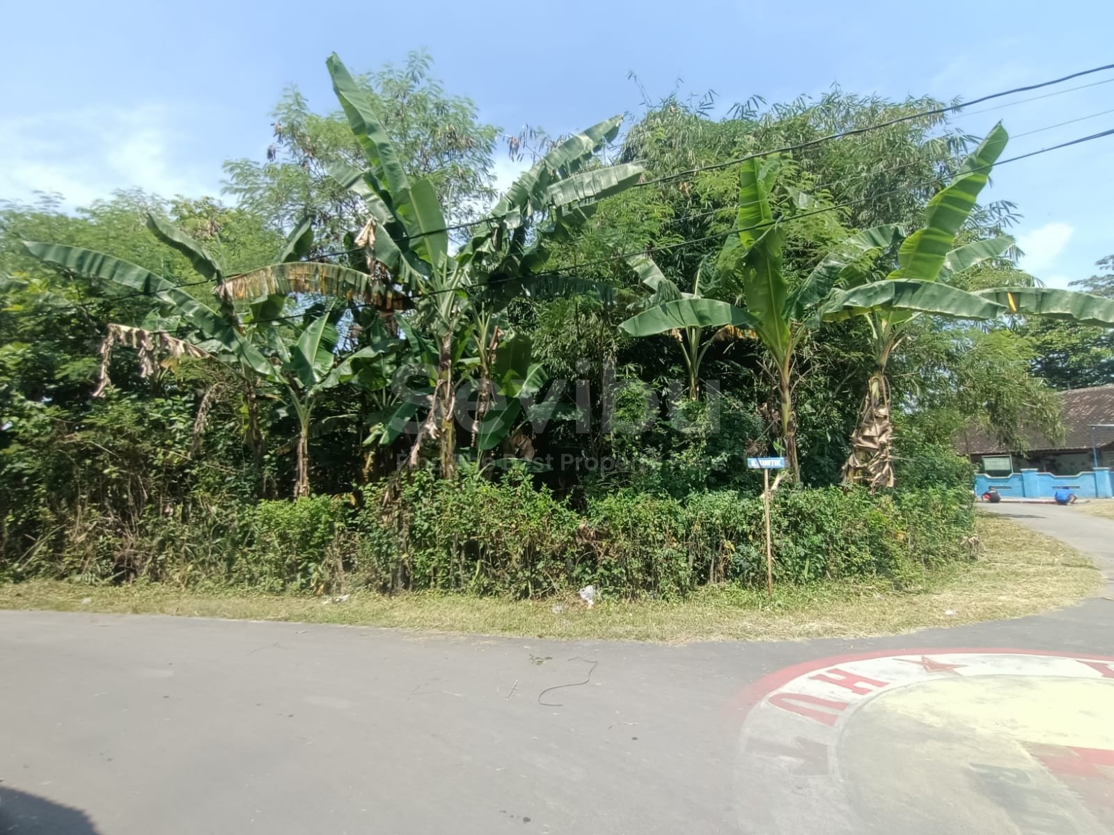 WhatsApp Image 2025-04-26 at 13.13.20 (1)