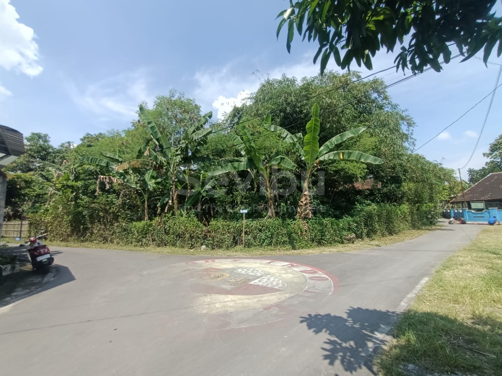 WhatsApp Image 2025-04-26 at 13.13.20